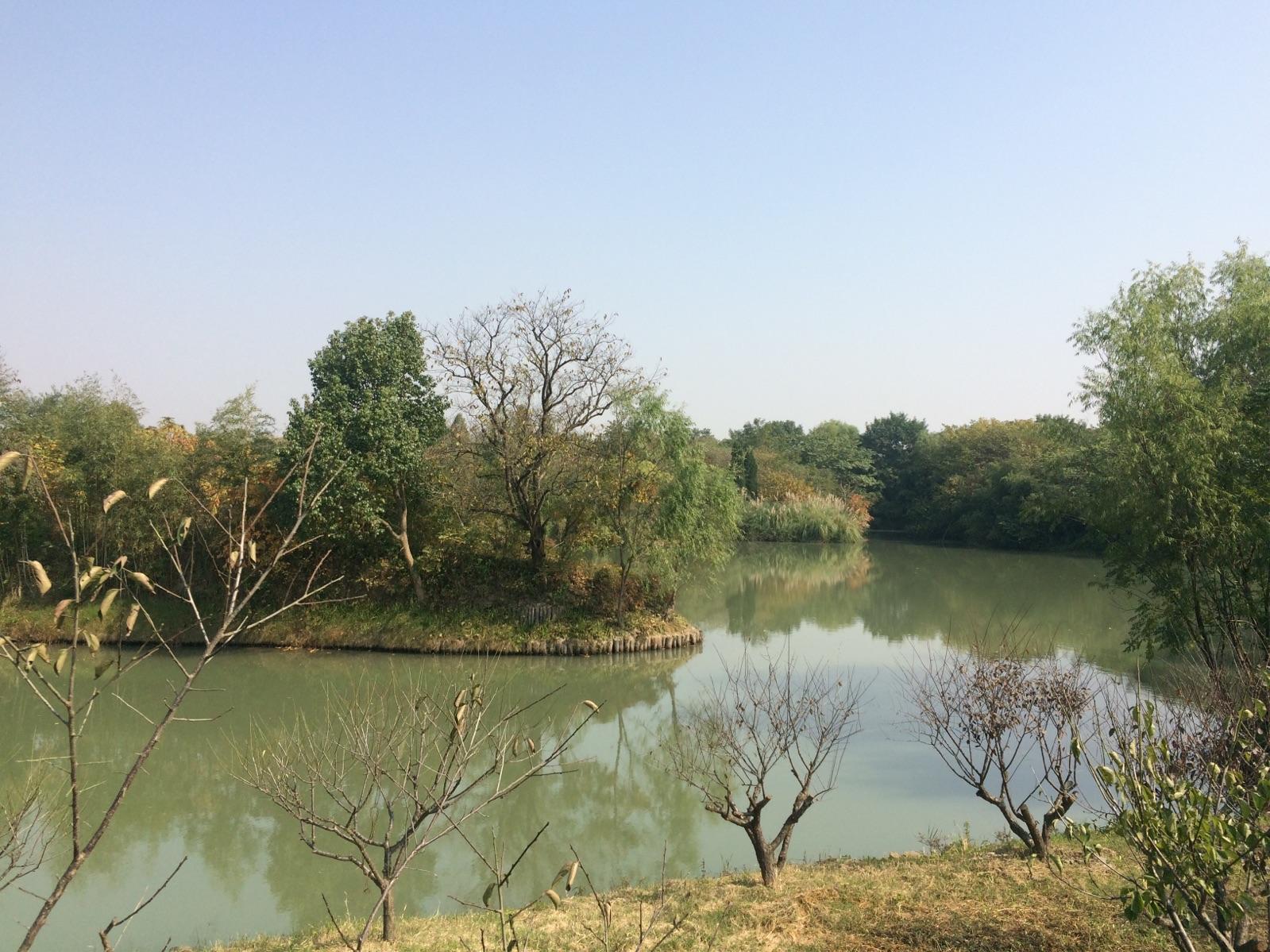 西溪湿地2017芦花 西溪湿地看芦苇较好的地方