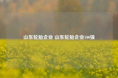 山东轮胎企业 山东轮胎企业100强