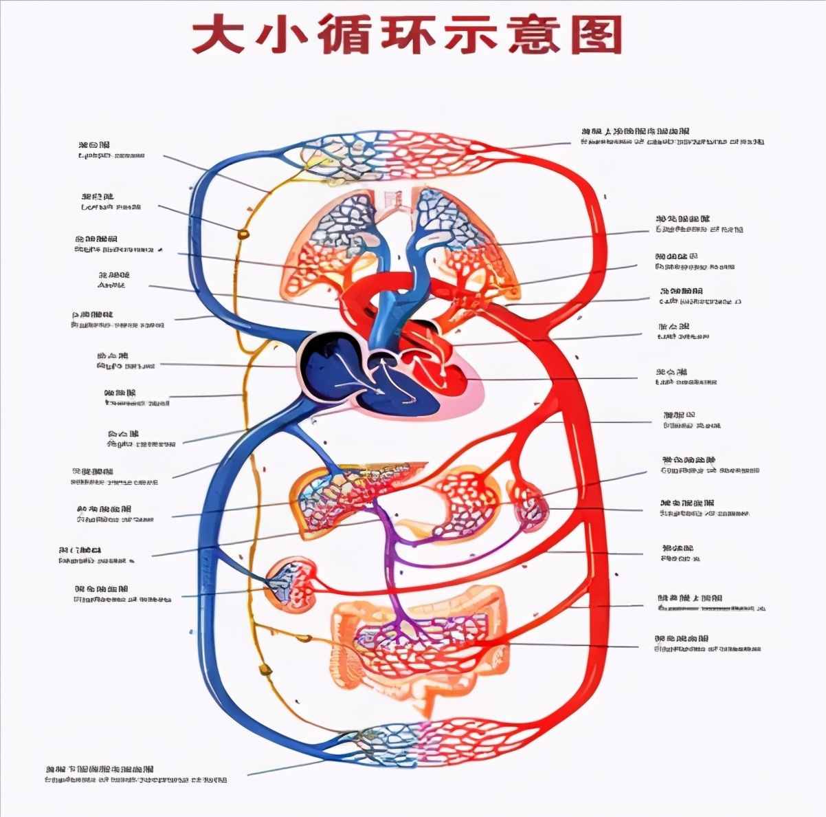 中国神话传说背后的惊人真相：人族具有神性吗？为何被祖神封印？